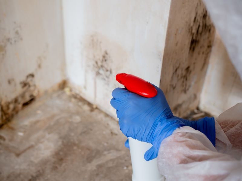 Mold Treatment Service in Broward County, FL