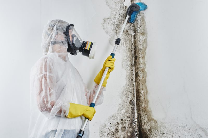 Air Duct Mold Removal in Broward County, FL