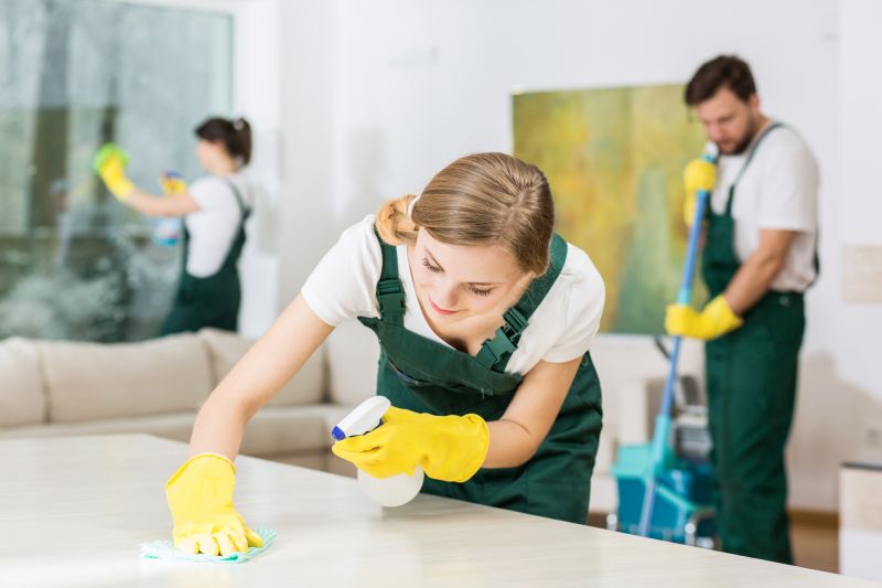 Basement Cleaning Service in Bellevue, WA
