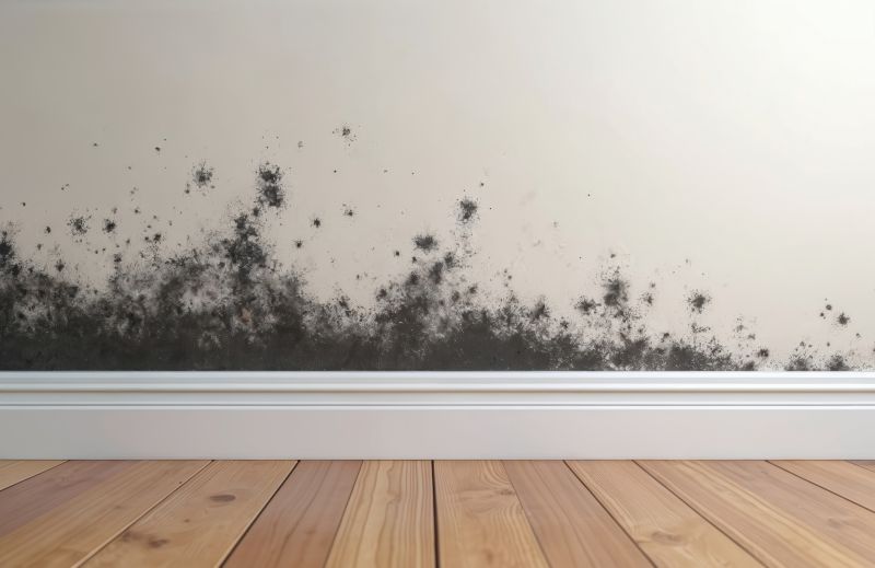Black Mold Remediation in Bergen County, NJ