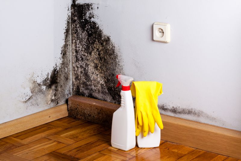 Black Mold Remediation in Jupiter, FL