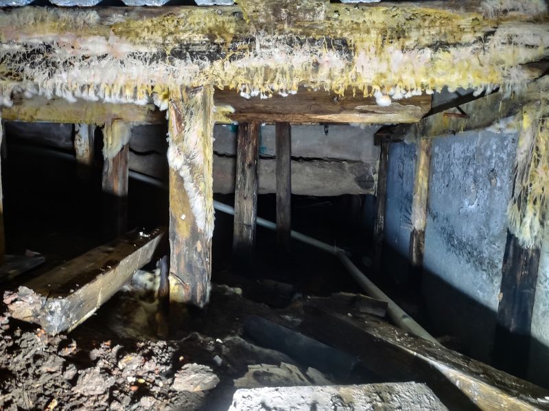 Crawl Space Mold Removal in Boca Raton, FL
