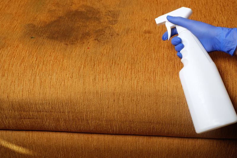 Loveseat Cleaning in Sanford, FL