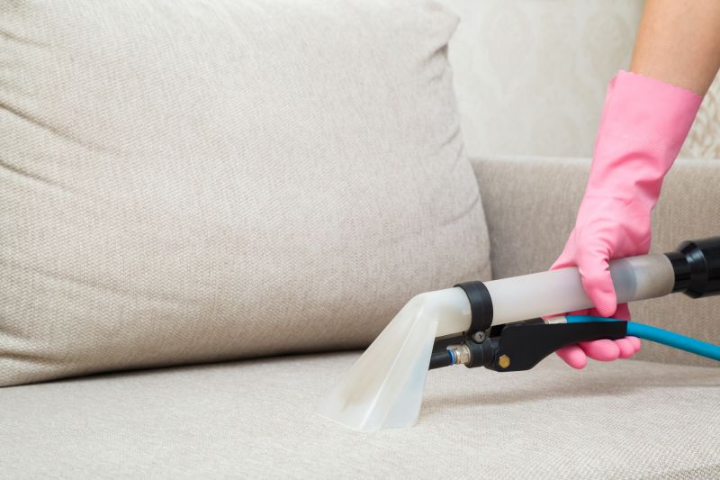 Loveseat Cleaning in Sanford, FL