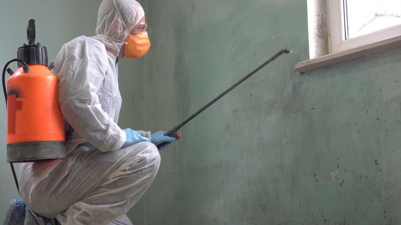 Mold Control in Essex County, NJ