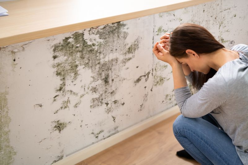 Mold Control in Dallas, TX
