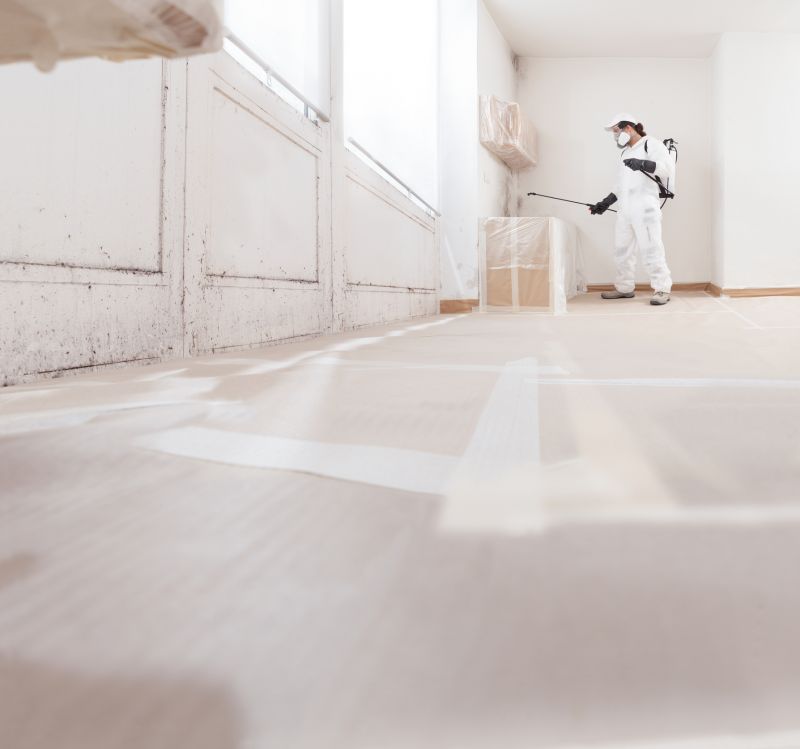 Mold Mitigation Service in Fort Lauderdale, FL