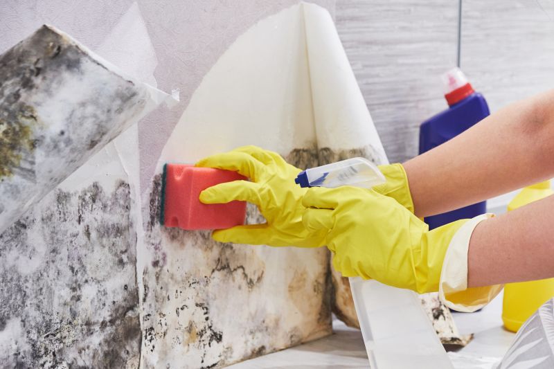 Mold Removal in West Palm Beach, FL
