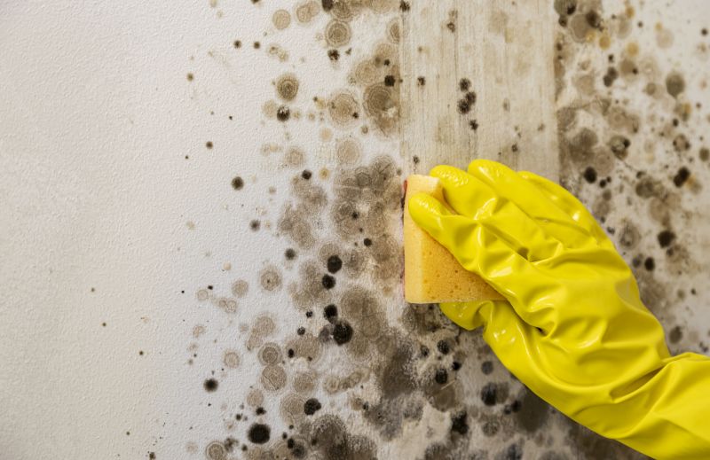Mold Restoration in Dallas, TX