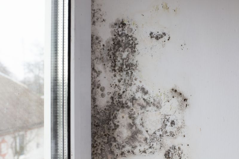 Mold Restoration in Bergen County, NJ