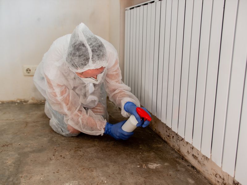 Mold Treatment Service in Fort Lauderdale, FL