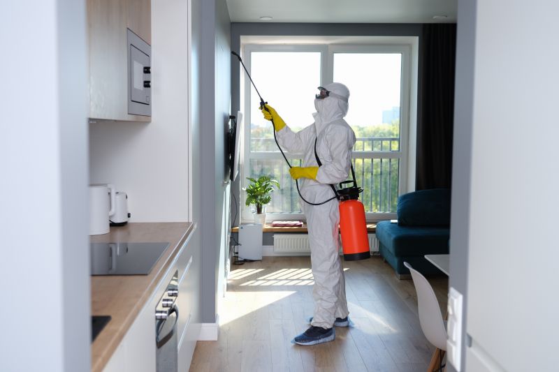 Mold Treatment Service in Fort Worth, TX