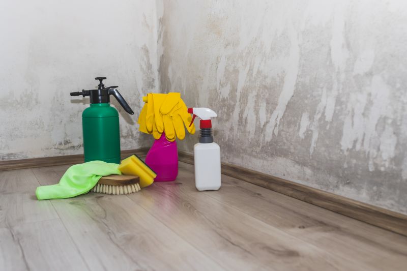 Mold Treatment Service in Jupiter, FL