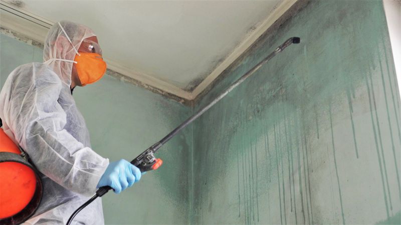 Mold Treatment Service in Broward County, FL